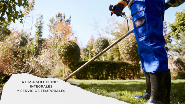 ALMA SOLUCIONES